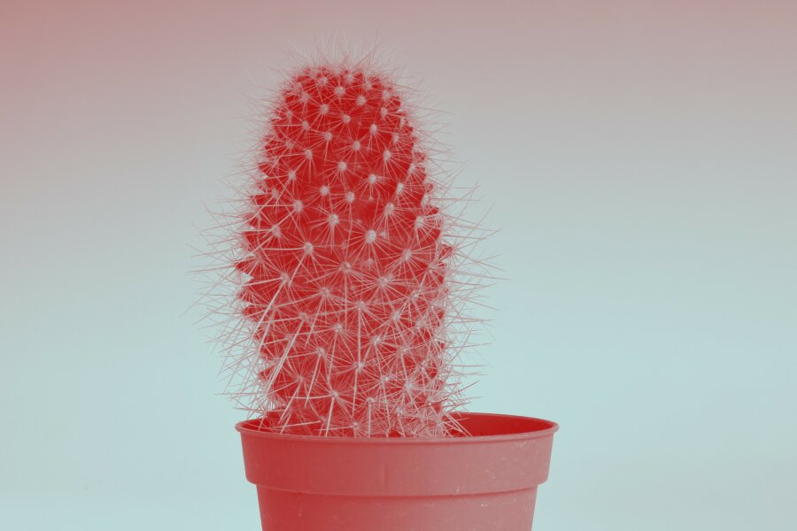 Věci – Things